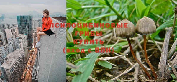крисы Вяземский