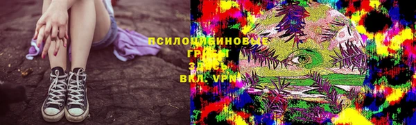 сатива Верхнеуральск